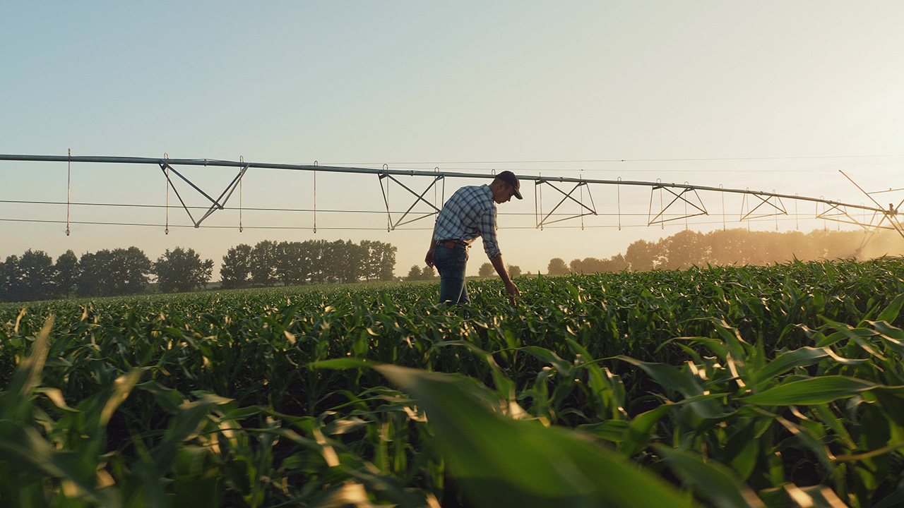 Familles d’agriculteurs